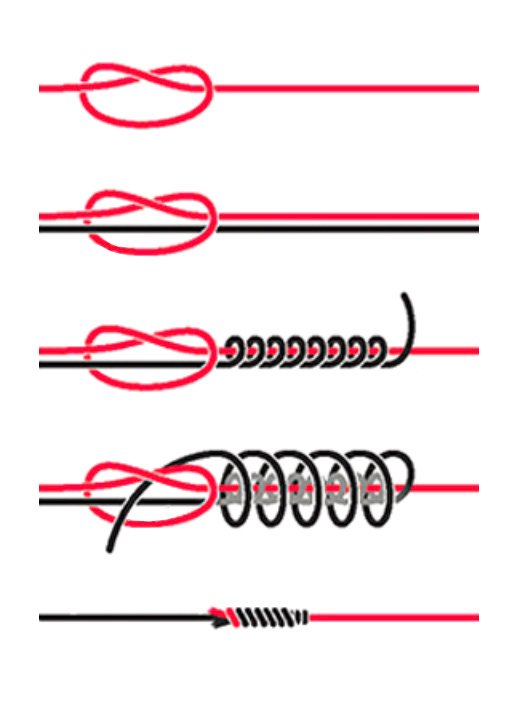 Noeud Peixet étape par étape